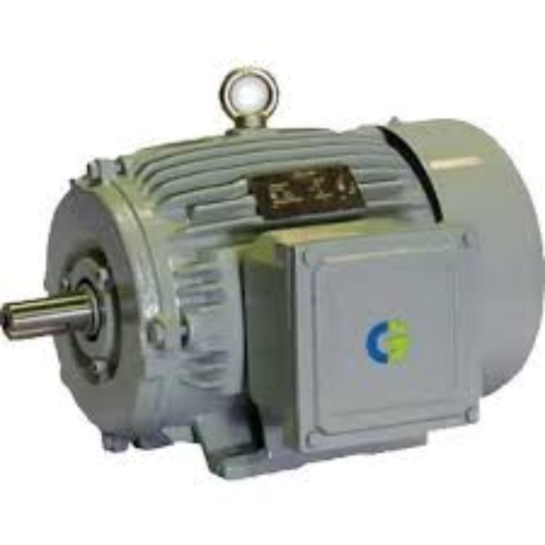 Crompton Electric Motor